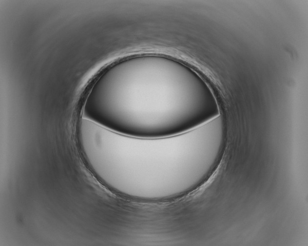 X0000112161502200908070928