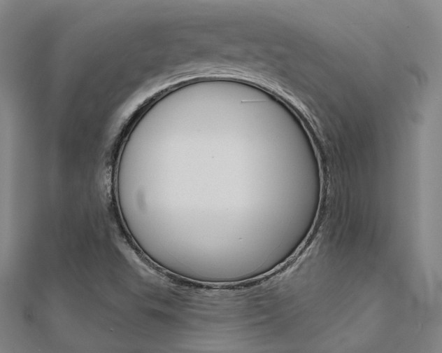 X0000112161503200908070928