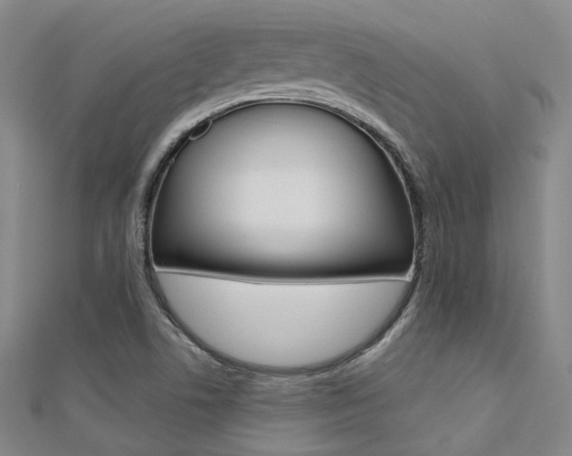 X0000112161506200908070928