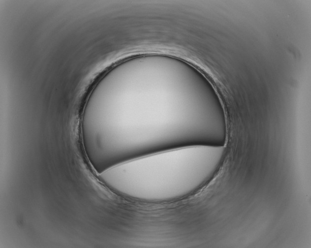 X0000112161507200908070928