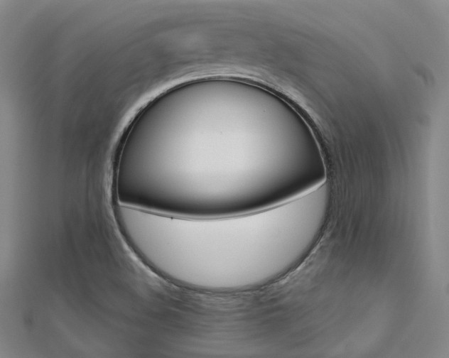 X0000112161508200908070928