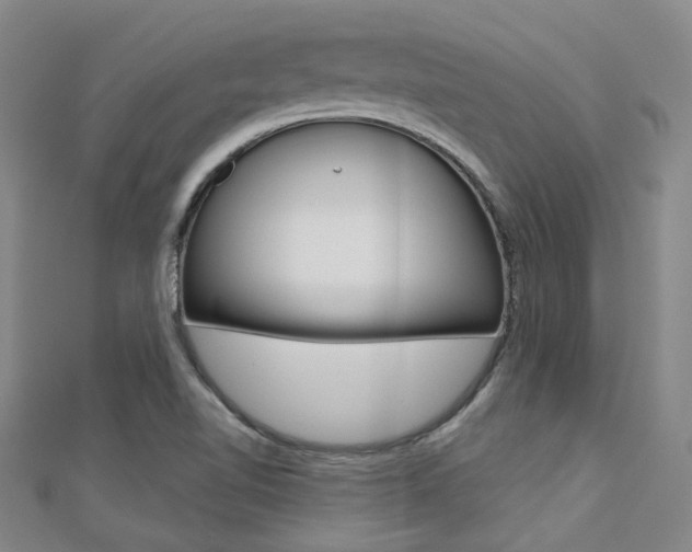 X0000112161510200908070928