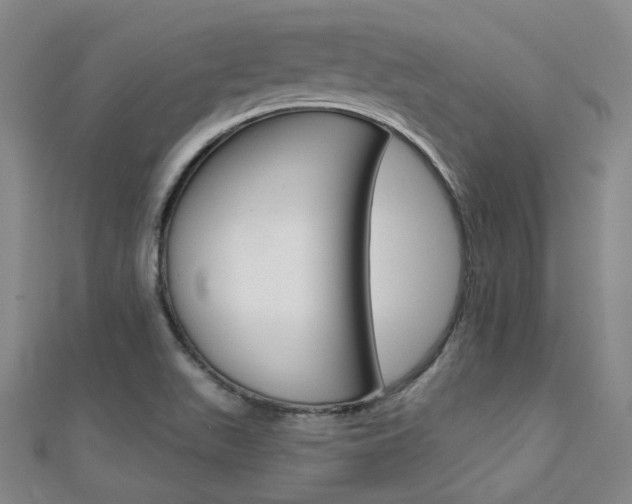 X0000112161511200908070928