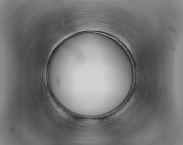 X0000112161513200908070928
