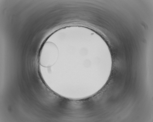 X0000112161514200908070928