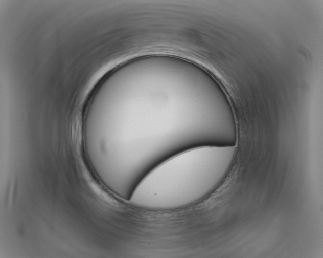 X0000112161515200908070928