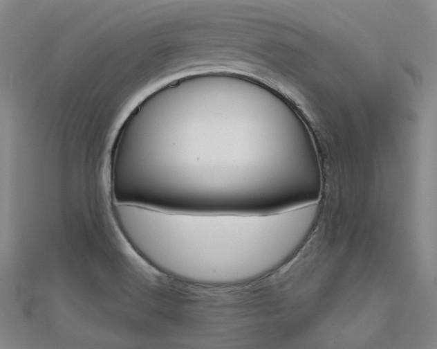 X0000112161516200908070928