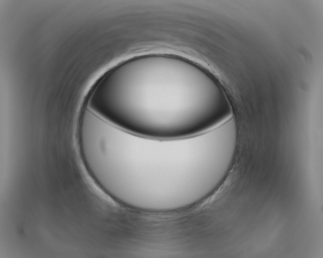 X0000112161518200908070928