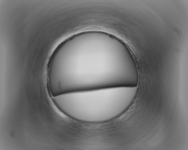X0000112161519200908070928