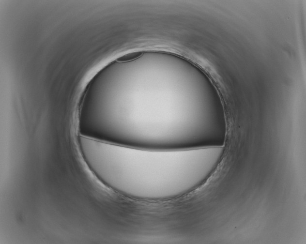 X0000112161520200908070928