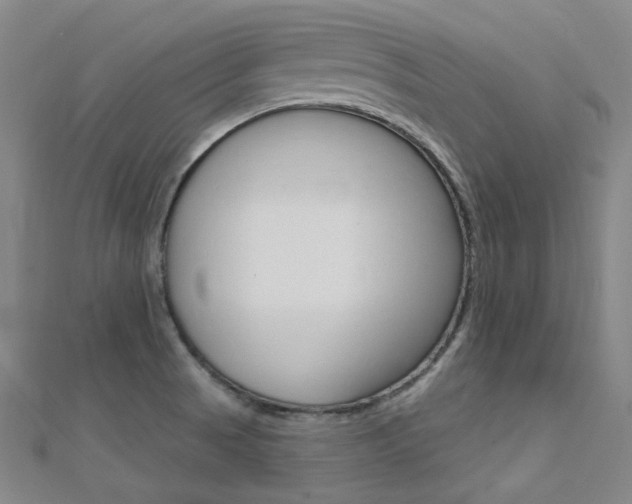 X0000112161521200908070928