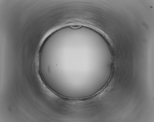 X0000112161522200908070928