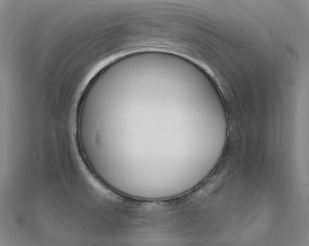 X0000112161523200908070928