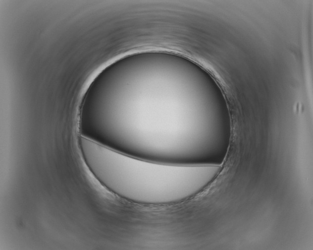X0000112161524200908070928