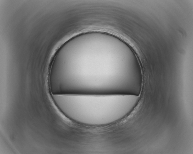 X0000112161525200908070928