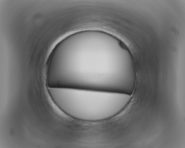 X0000112161526200908070928
