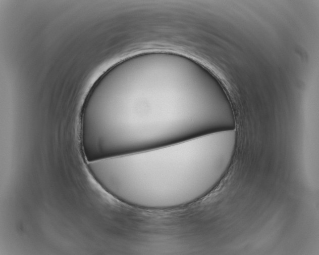 X0000112161527200908070928