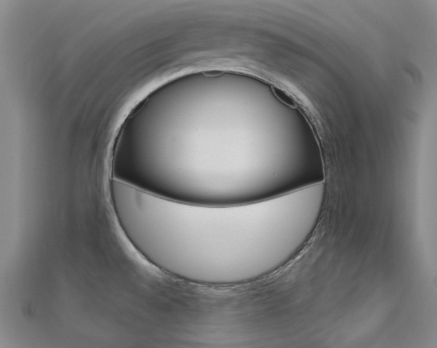 X0000112161528200908070928