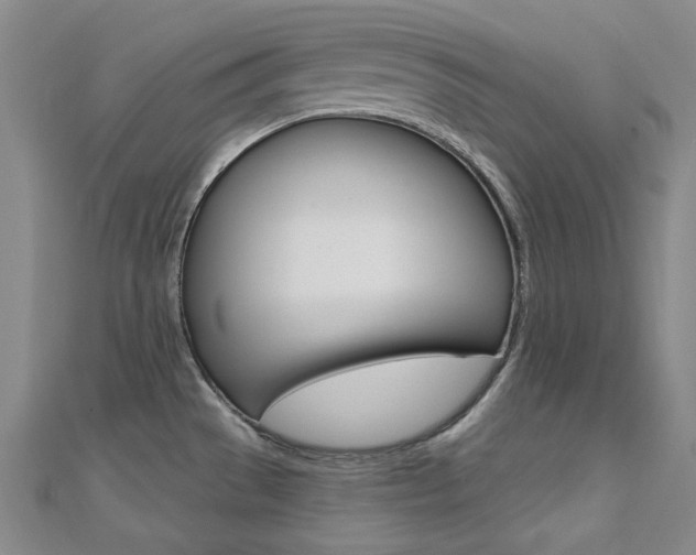 X0000112161529200908070928