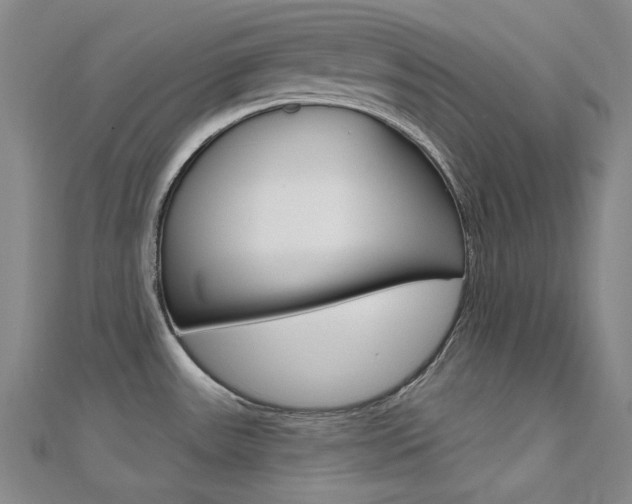 X0000112161531200908070928