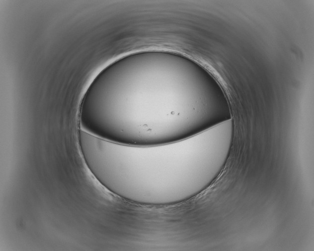 X0000112161532200908070928
