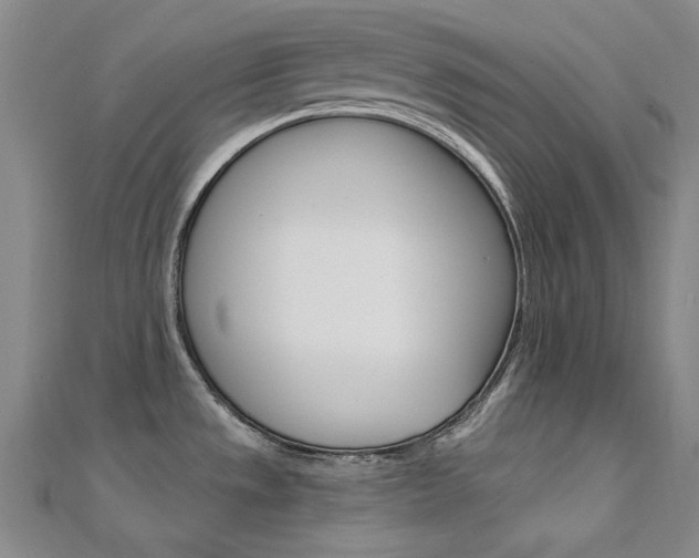 X0000112161533200908070928