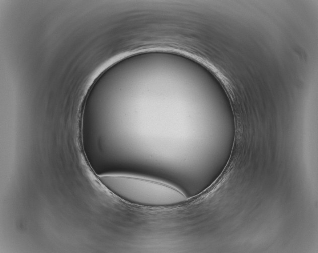 X0000112161534200908070928