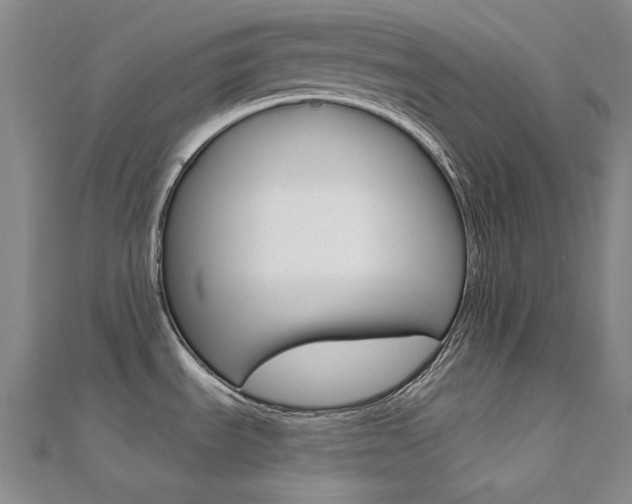 X0000112161535200908070928
