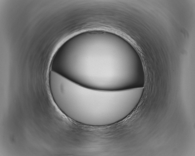 X0000112161536200908070928