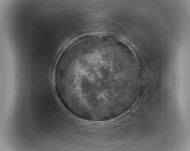 X0000112160002200908071147