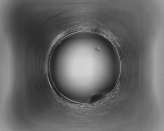 X0000112160003200908071147