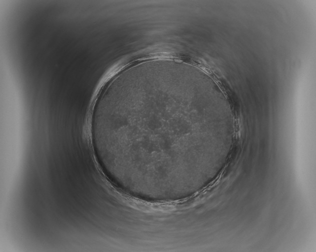 X0000112160004200908071147