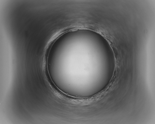 X0000112160005200908071147