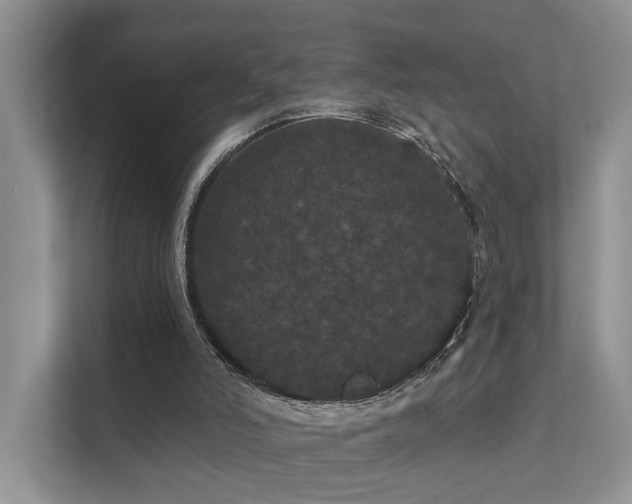X0000112160006200908071147