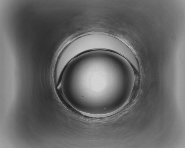 X0000112160007200908071147