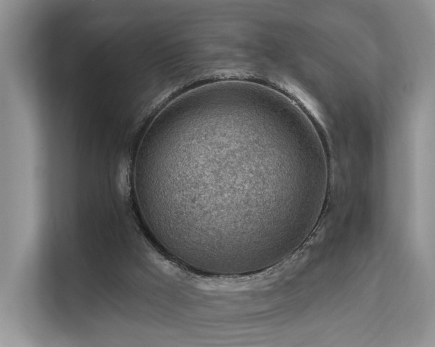X0000112160009200908071147