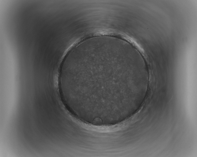 X0000112160010200908071147