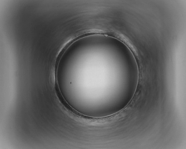 X0000112160011200908071147