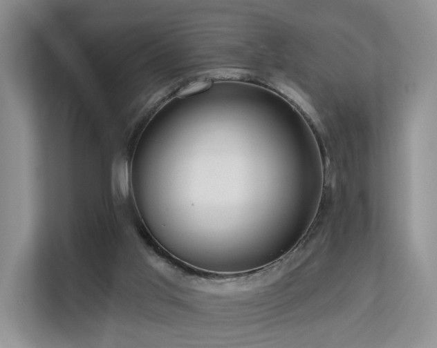X0000112160013200908071147