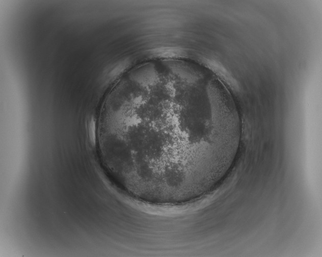 X0000112160014200908071147