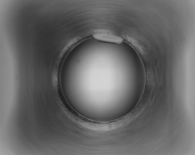 X0000112160015200908071147