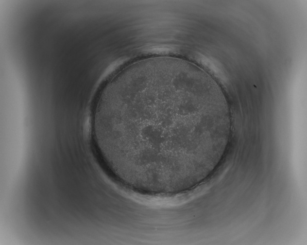 X0000112160016200908071147