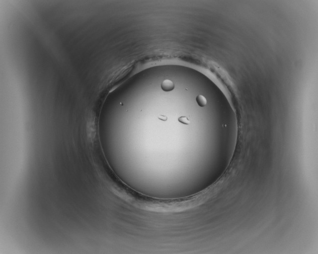 X0000112160017200908071147