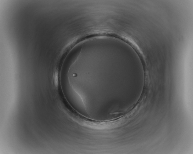 X0000112160019200908071147