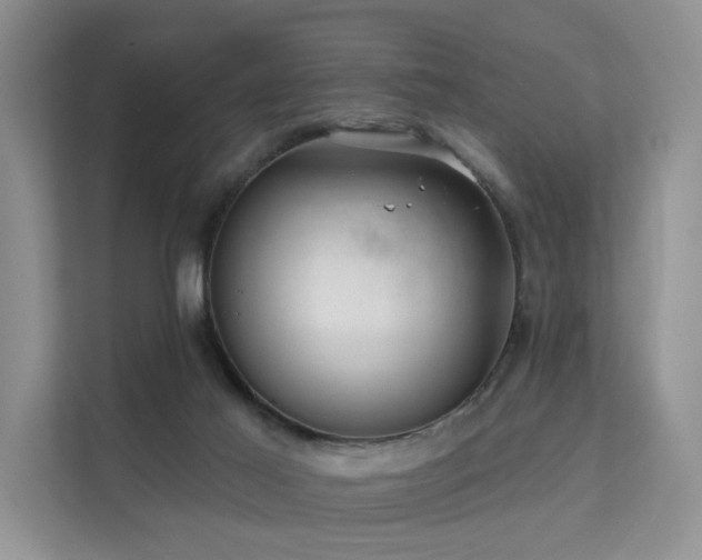 X0000112160021200908071147