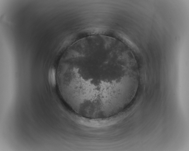 X0000112160022200908071147
