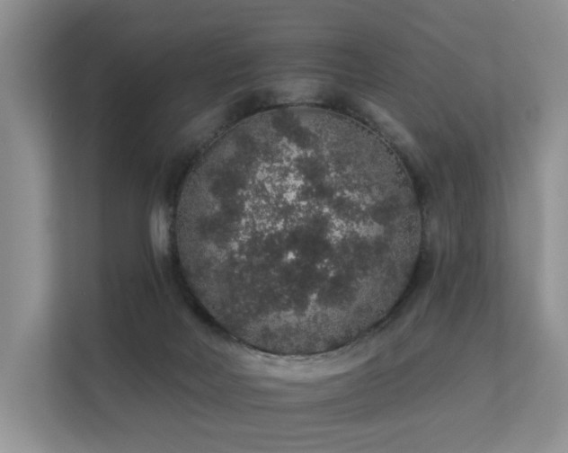 X0000112160026200908071147