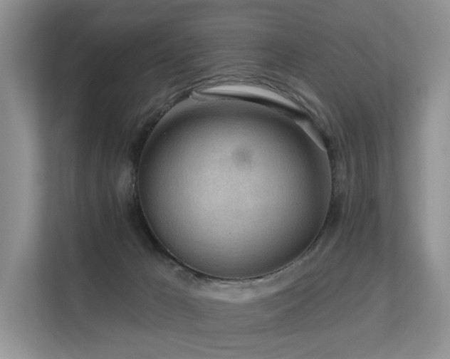 X0000112160029200908071147