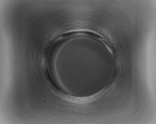 X0000112160031200908071147