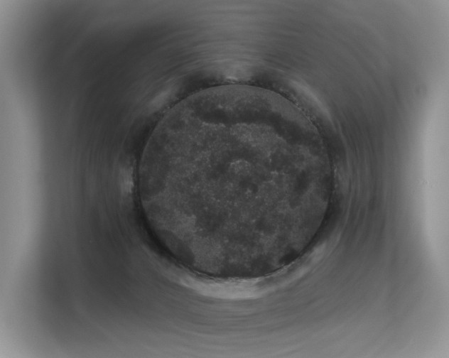 X0000112160032200908071147